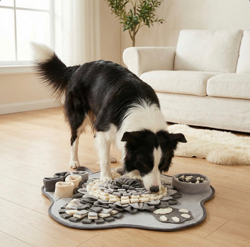 Sniff&Eat™ - Nebbia del Mattino