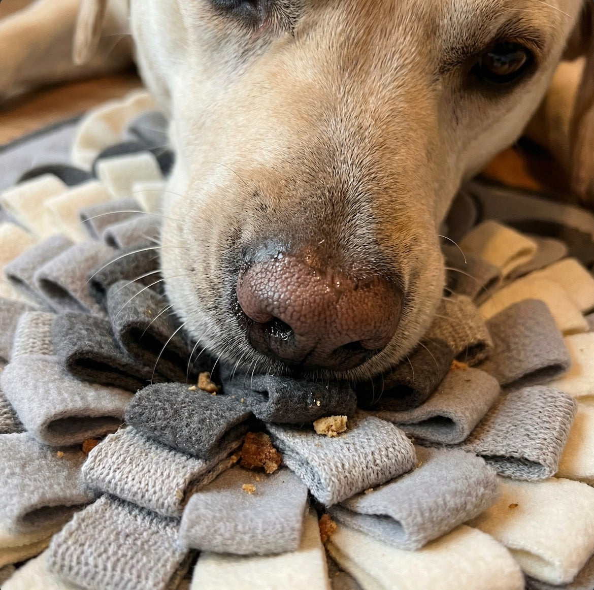 Sniff&Eat™ - Nebbia del Mattino